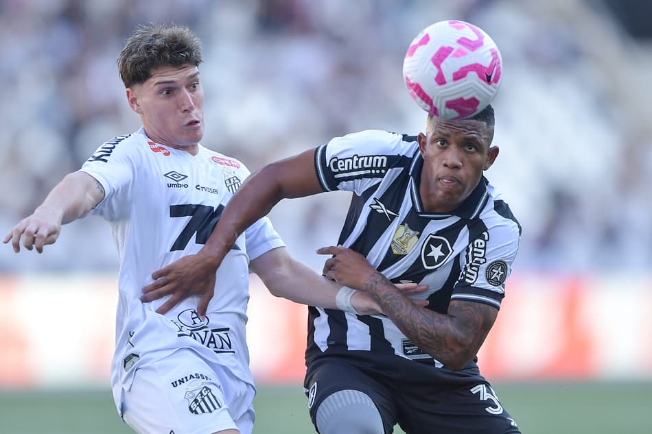 Danilo e Rollheiser disputam bola em Botafogo x Santos (Foto: Thiago Ribeiro/AGIF)