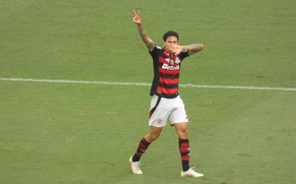Pedro comemora gol do Flamengo contra o Palmeiras (Foto: Lucas Bayer/Lance!)