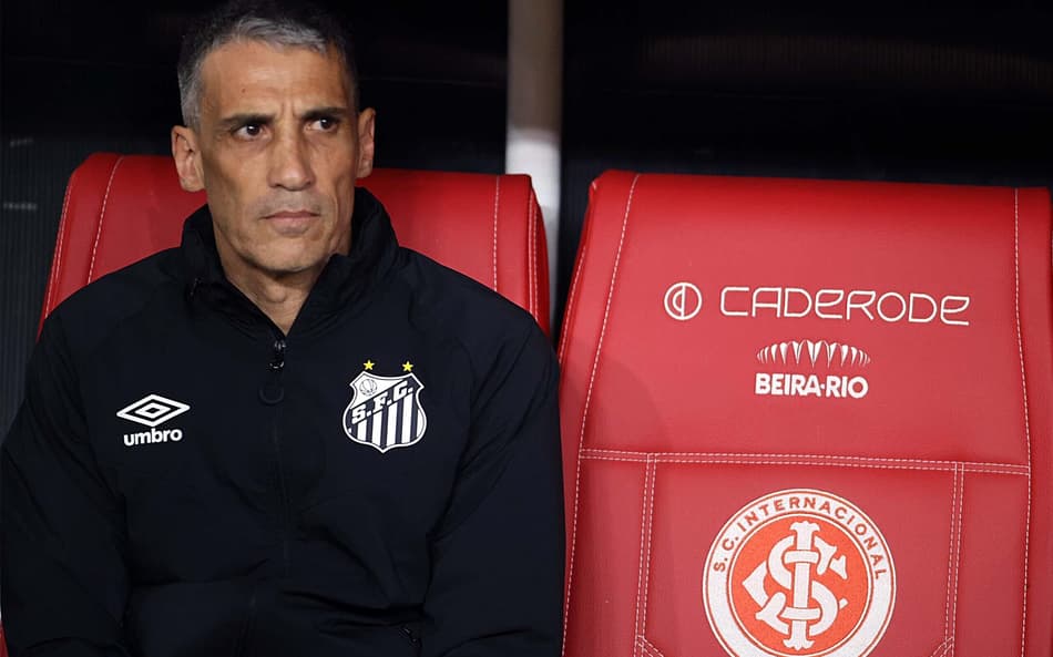 Vojvoda tem três vitórias em 15 jogos no comando do Santos (Foto: Edu Andrade/Fatopress/Gazeta Press)