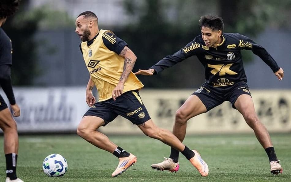 Elenco do Santos treina no CT Rei Pelé. (Foto: Divulgação / Santos FC)