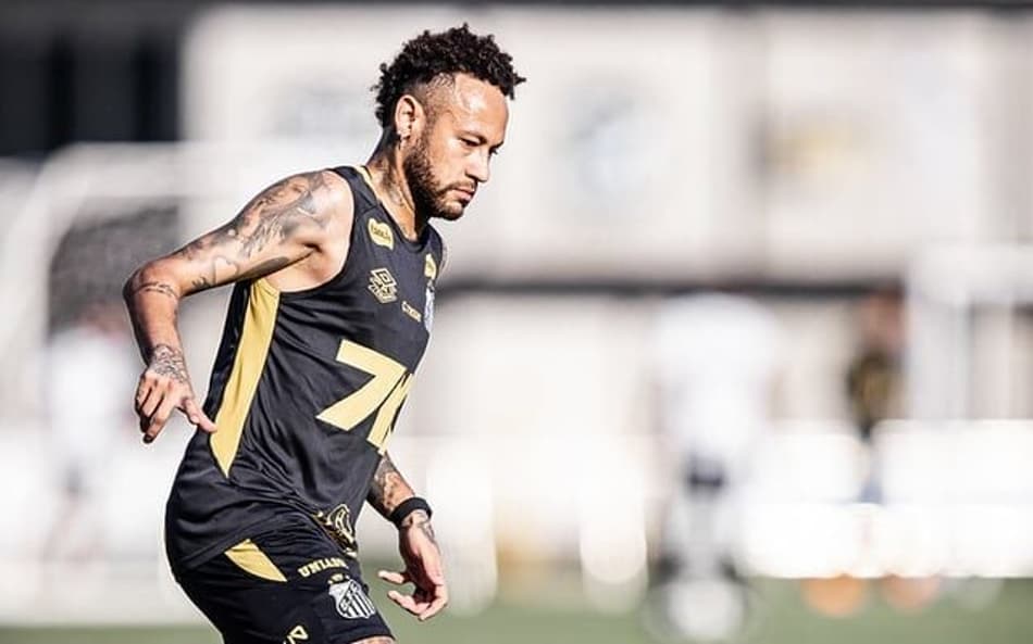 Neymar acumula 25 partidas e sete gols com a camisa do Santos nesta temporada. (Foto: Raul Baretta/ Santos FC)