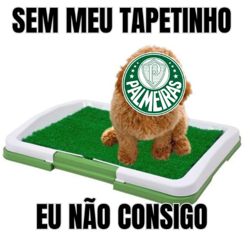 Memes Flamengo é campeão da Libertadores sobre o Palmeiras (1)