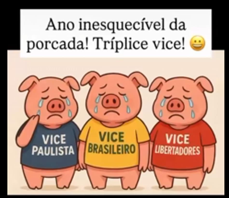 Memes Flamengo é campeão da Libertadores sobre o Palmeiras (4)