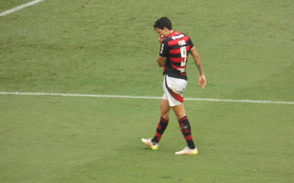 Pedro comemora gol do Flamengo contra o Palmeiras (Foto: Lucas Bayer/Lance!)