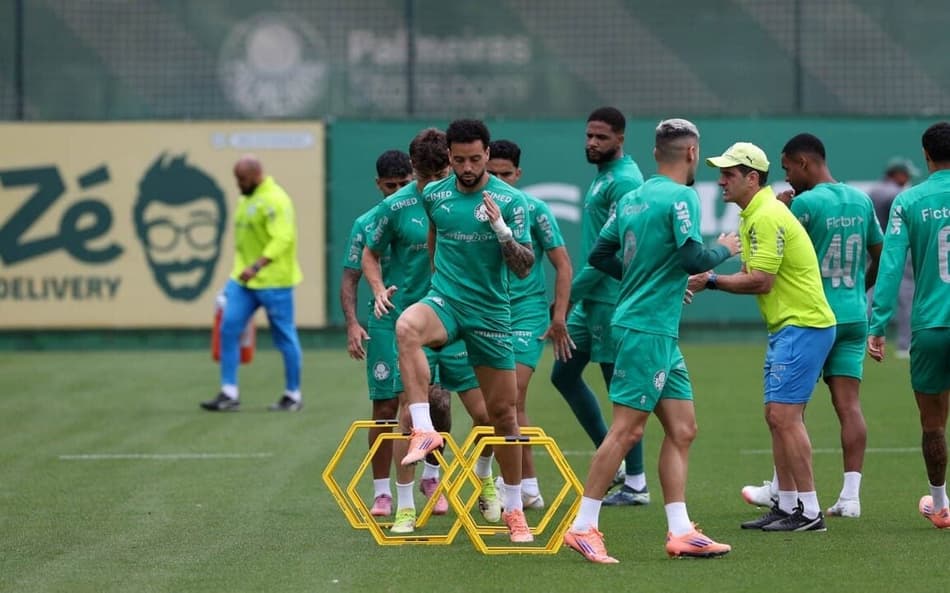 treinamento palmeiras academia de futebol elenco