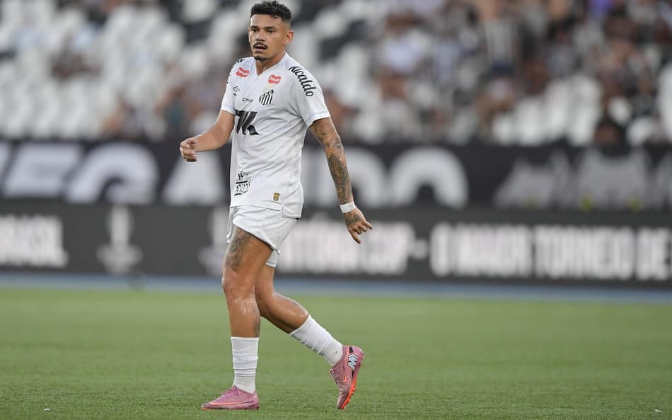 Tiquinho Soares tem 42 jogos com a camisa do Santos nesta temporada. (Foto: Thiago Ribeiro/Agif/Gazeta Press)