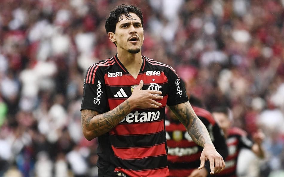 Pedro, do Flamengo, comemorando gol contra o Palmeiras (Foto: Alexandre DurÃ£o/ZIMEL PRESS)