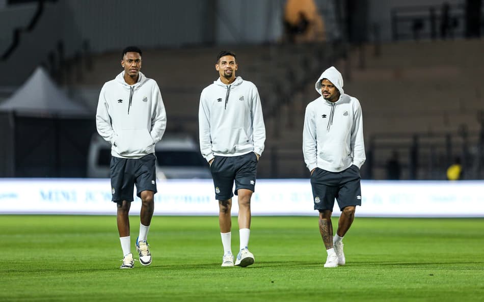 Luisão deve deixar o Santos (Foto: Reinaldo Campos/ Santos FC)