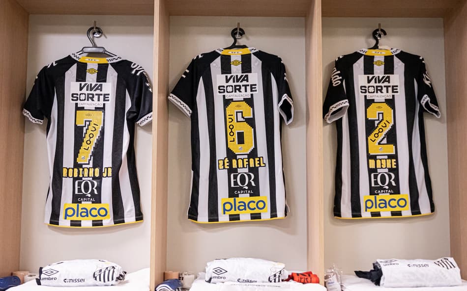 Santos deve passar por mudanças em seu elenco (Foto: Raul Baretta/ Santos FC)