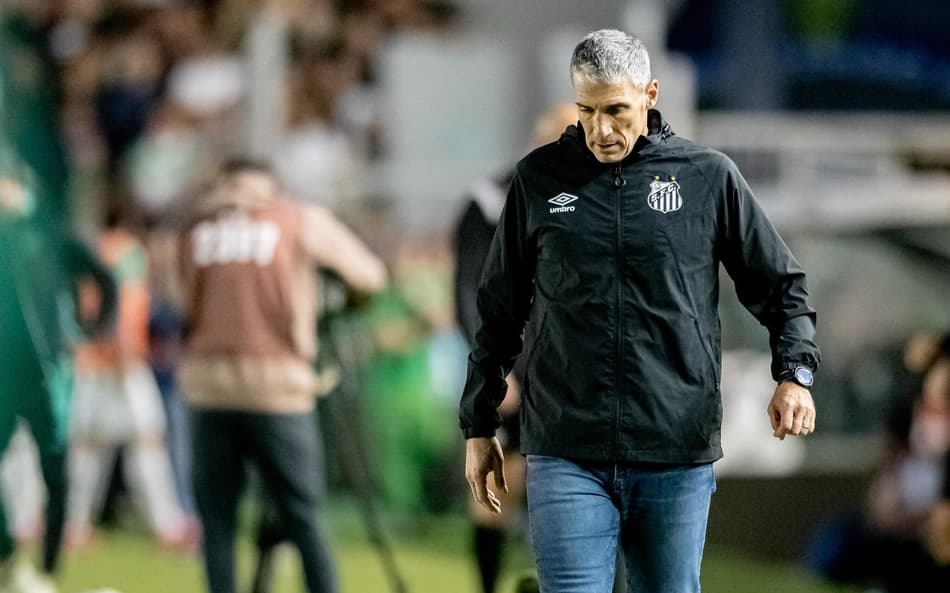 Vojvoda terá desfalque no Santos (Foto: Léo Piva/ Santos FC)