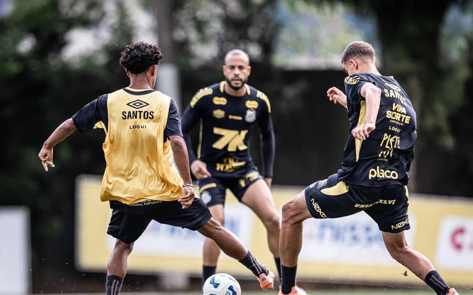 Santos foi a campo com reservas (Foto: Raul Baretta/ Santos FC)