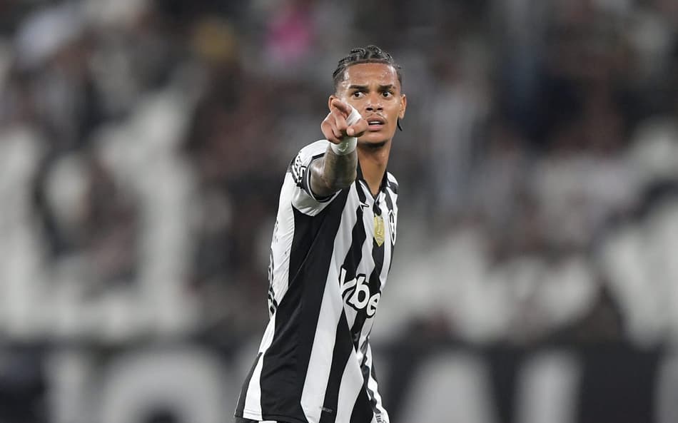 Newton é um dos destaques do Botafogo nos últimos jogos (Foto: Thiago Ribeiro/AGIF)