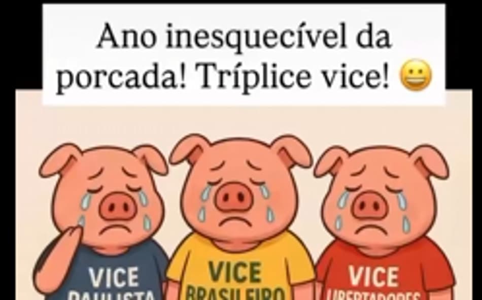 Memes Flamengo é campeão da Libertadores sobre o Palmeiras (4)