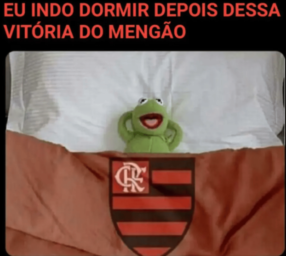 Memes do Flamengo para compartilhar com os amigos (1)