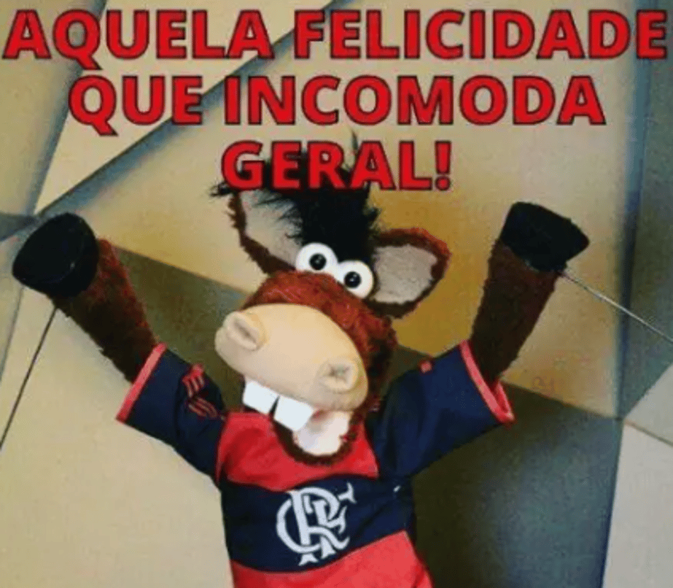 Memes do Flamengo para compartilhar com os amigos (1)
