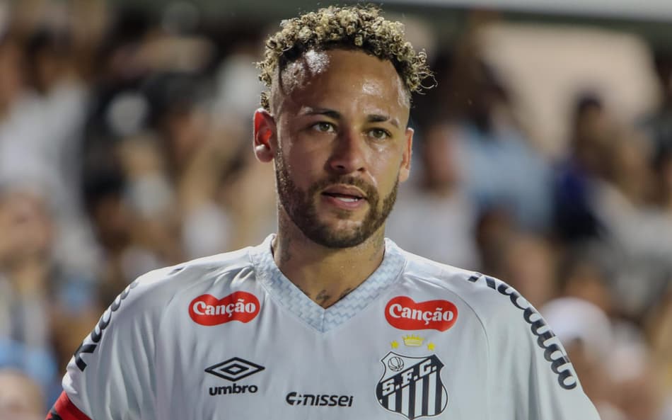 Neymar durante partida entre Santos e Palmeiras no Brasileirão (Foto: Raphael Campos Do Prado/Mochila Press/Gazeta Press)