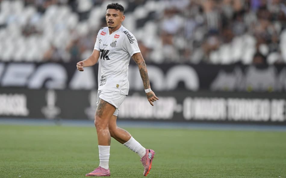 Tiquinho Soares Santos Botafogo Série A 2025