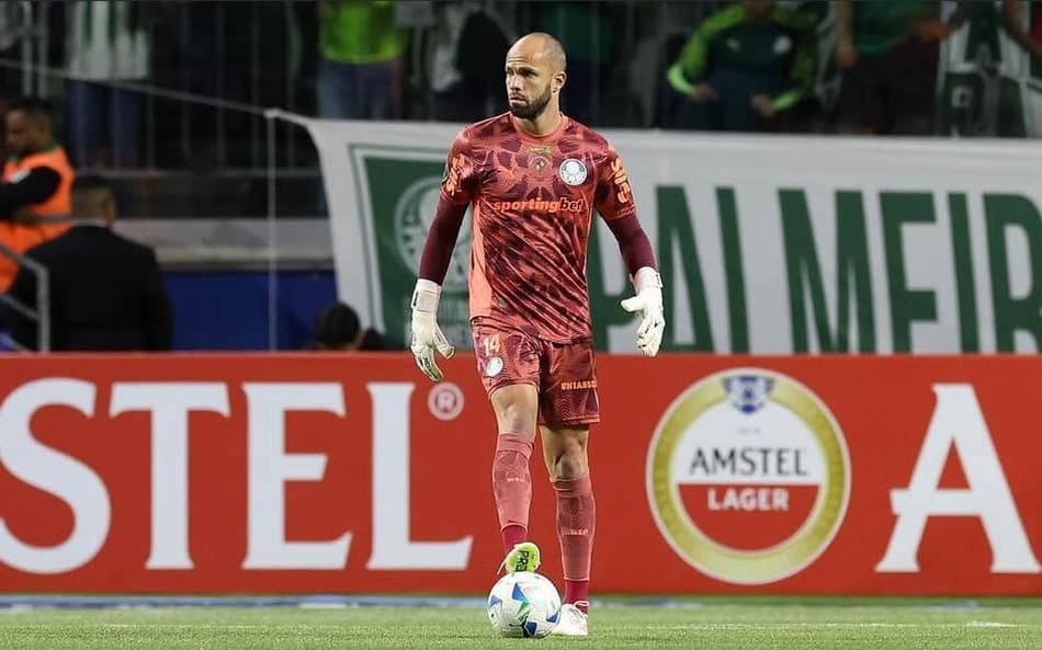 Marcelo Lomba, goleiro do Palmeiras (Foto: Reprodução)