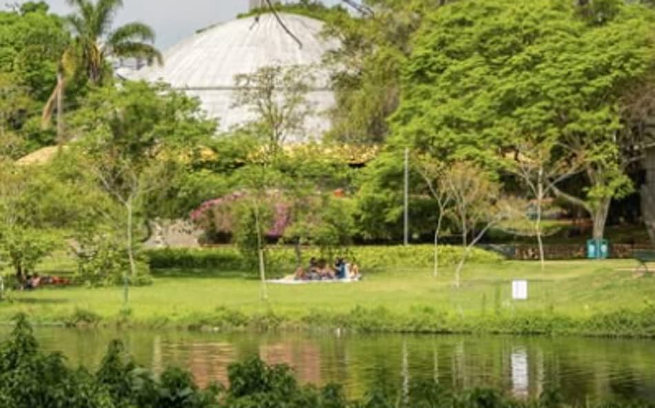 Ibirapuera destinará espaço a patins, skate e BMX (Reprodução)