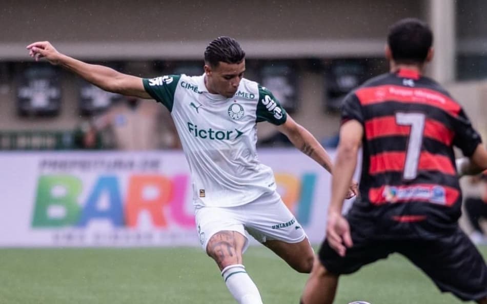 Robson, zagueiro do Palmeiras (Foto: Reprodução/Palmeiras)