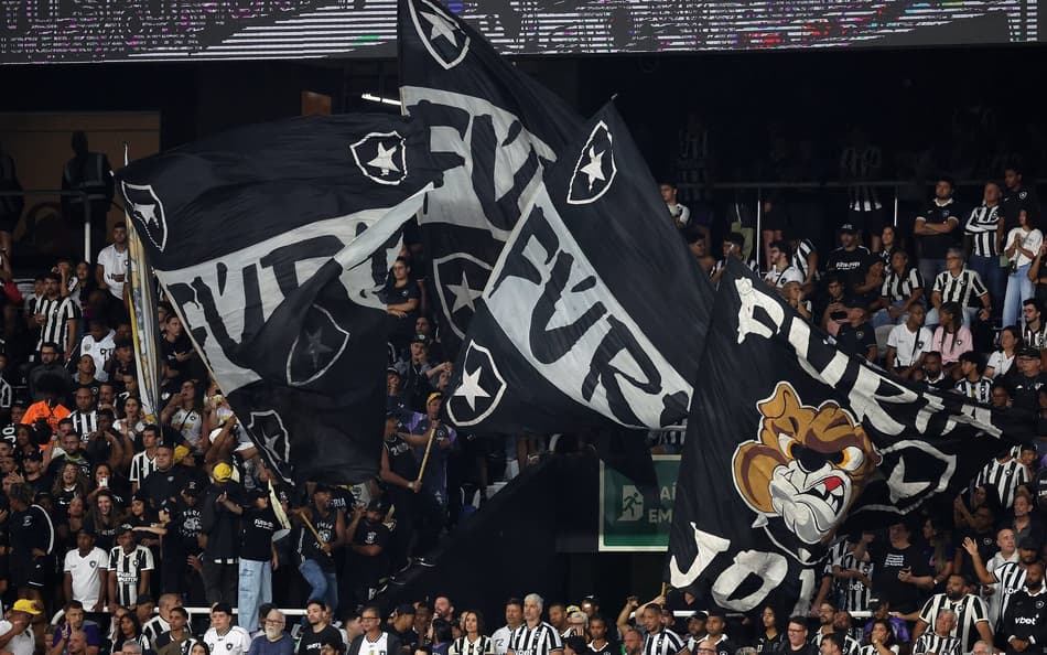 Torcida do Botafogo no Nilton Santos (Foto: Vitor Silva/BFR)