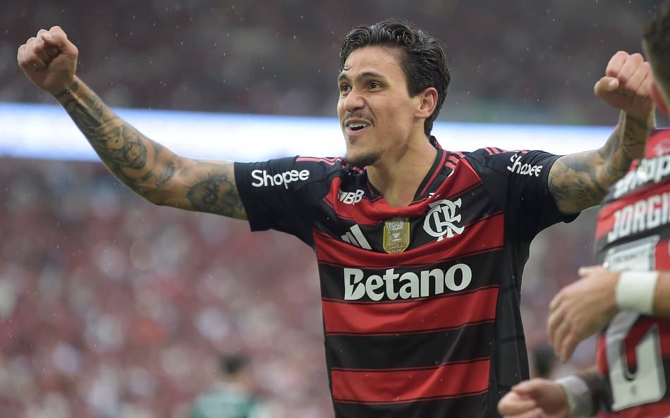 Pedro em ação pelo Flamengo (Foto: Dhavid Normando/Código19/Gazeta Press)