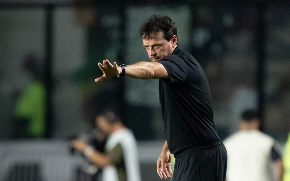 Fernando Diniz Vasco