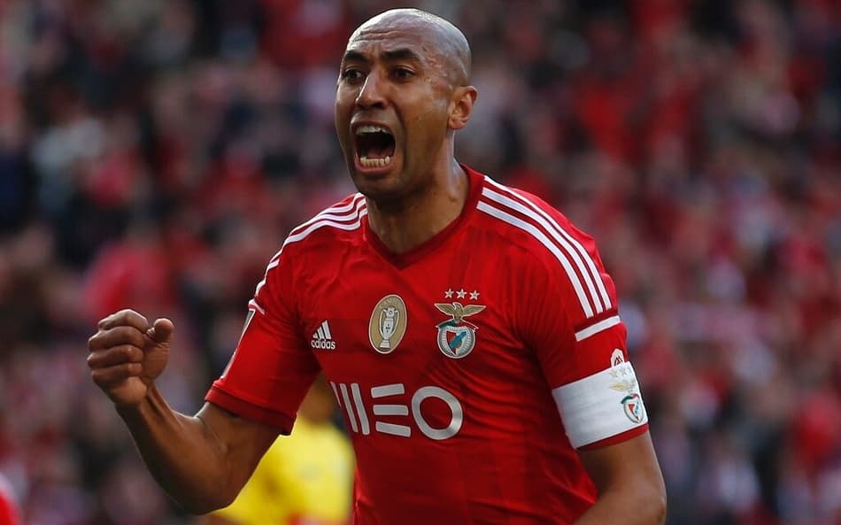 Luisão Benfica