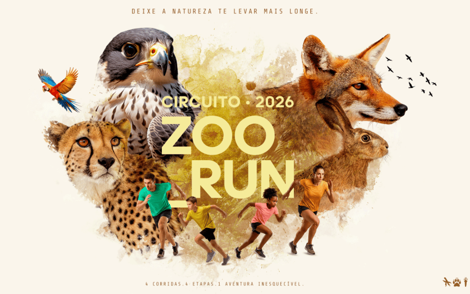 Circuito Zoo Run leva público para correr ao lado de animais em São Paulo