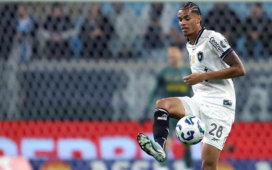 Newton foi um pedido do técnico do Santos, Cuca. (Foto: EDU ANDRADE/Fatopress/Gazeta Press)