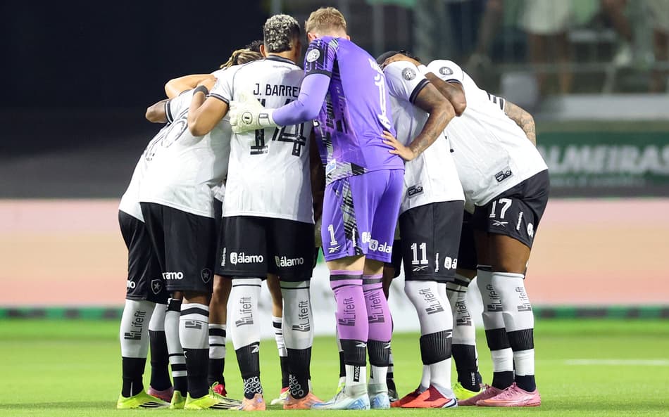 Botafogo perdeu para o Palmeiras pelo Brasileirão (Foto: Vítor Silva/Botafogo)