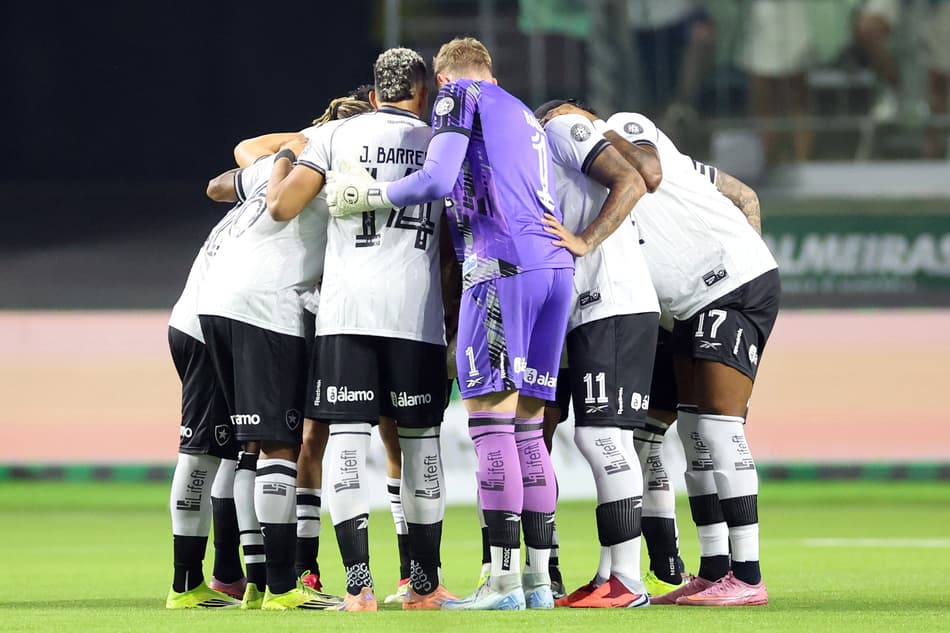 Botafogo perdeu para o Palmeiras pelo Brasileirão (Foto: Vítor Silva/Botafogo)