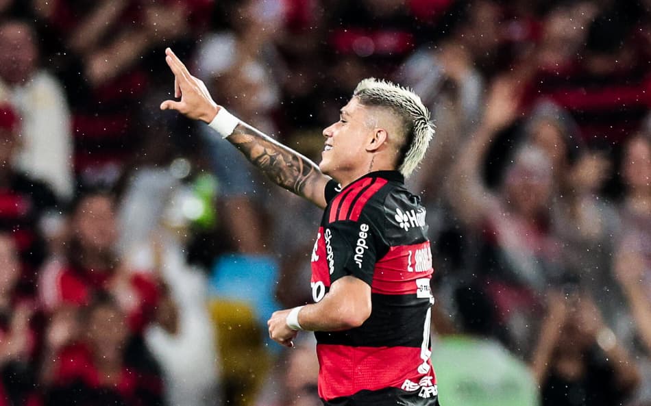 Luiz Araújo em FLamengo x Remo (Foto: Gilvan de Souza/Flamengo)