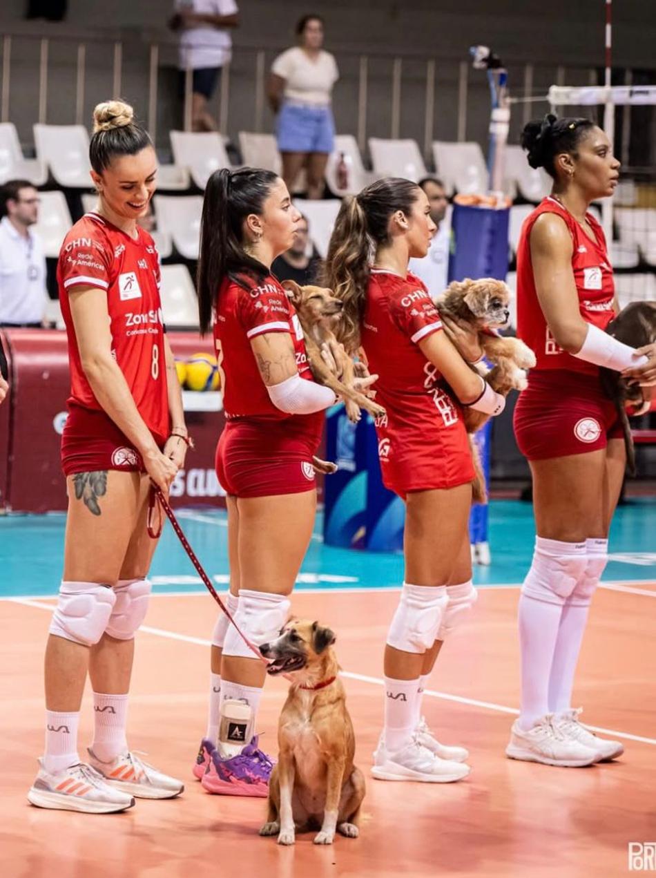 Tijuca promove campanha de adoção de animais na Superliga Feminina 25/26 (Foto: Thiago Mendes)