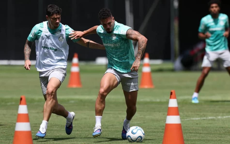 Paulinho - Palmeiras