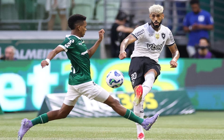 Estêvão e Alexander Barboza no último Palmeiras x Botafogo (Foto: Vítor Silva/Botafogo)