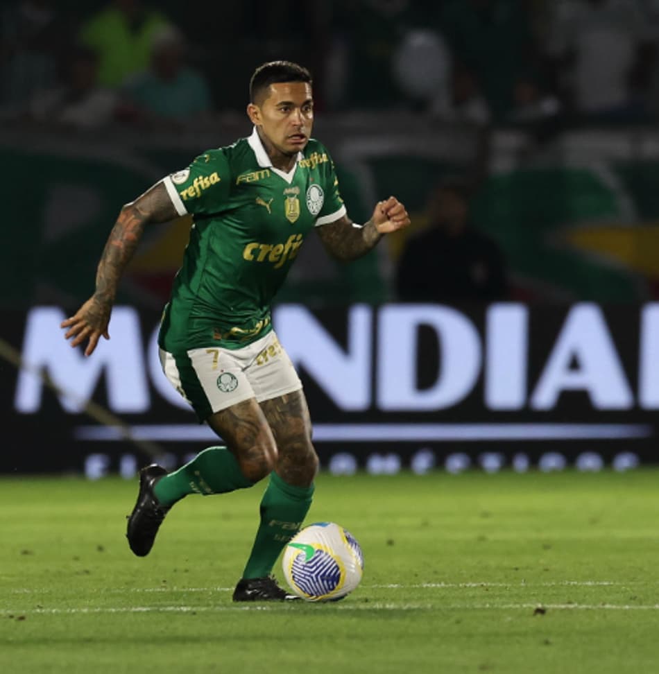 Dudu - Palmeiras