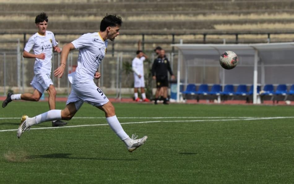 cavadinha miami dade