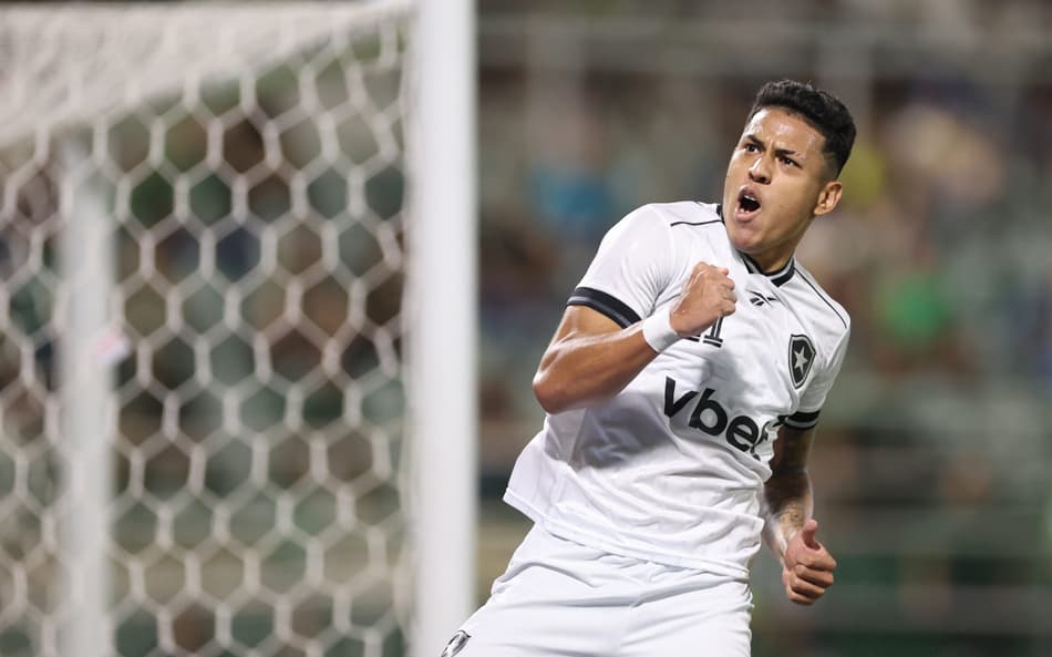Matheus Martins brilhou na vitória do Botafogo sobre a Chapecoense (Foto: Vítor Silva/Botafogo)
