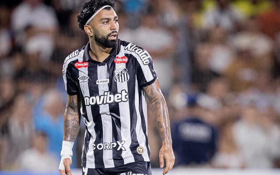 Gabriel Barbosa acumula 20 jogos e 9 gols pelo Santos nesta temporada. (Foto: Raul Barletta/ Santos FC)