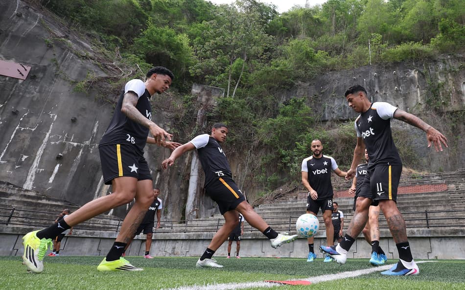 Botafogo cresce e mira parte de cima do Brasileirão ao fim do primeiro semestre