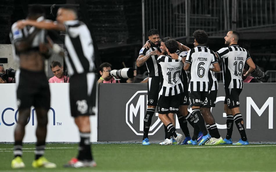 Botafogo vive grande fase (Foto: Mauro Pimentel / AFP)