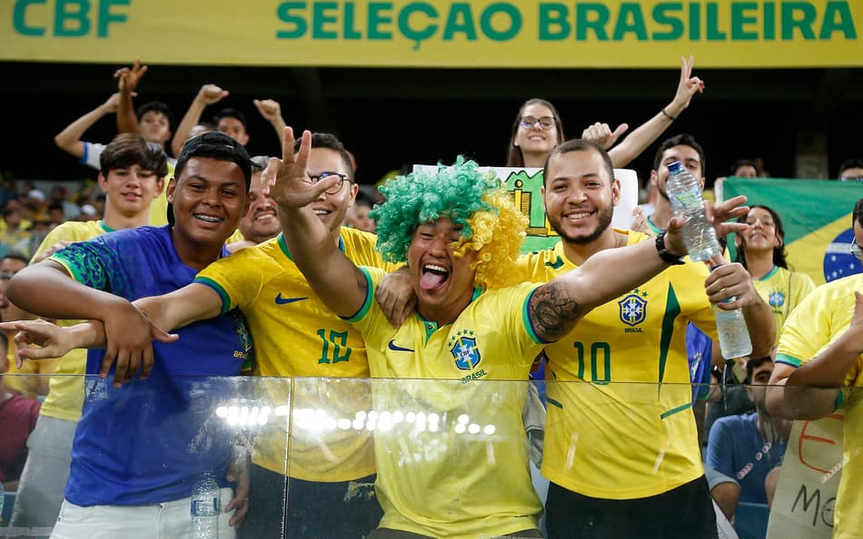 Torcida Seleção Brasileira