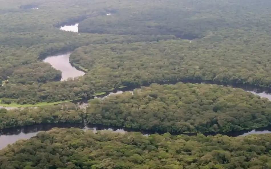 Floresta do Congo no Parque Nacional de Salonga, na República Democrática do Congo (Foto: Reprodução / Unesco)