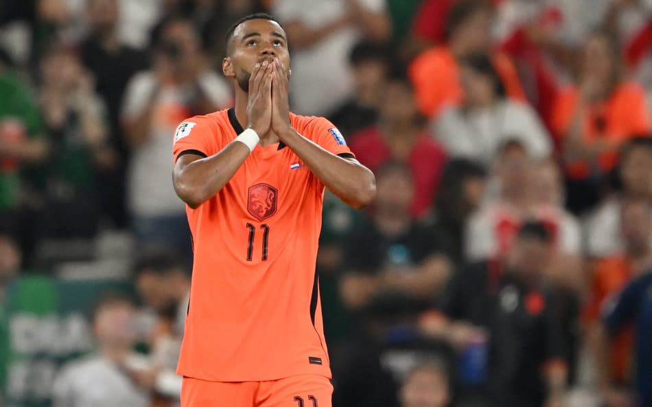 O atacante Gakpo leva as mãos ao rosto e comemora emocionado o gol da Holanda contra Marrocos