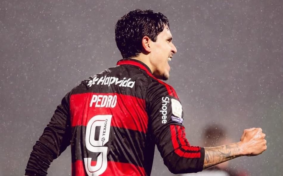 Pedro comemora gol pelo Flamengo em partida contra a Chapecoense pelo Brasileirão