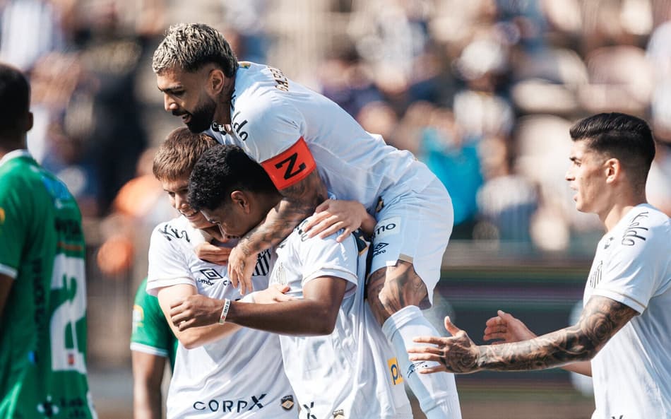 Jogadores do Santos comemoram gol