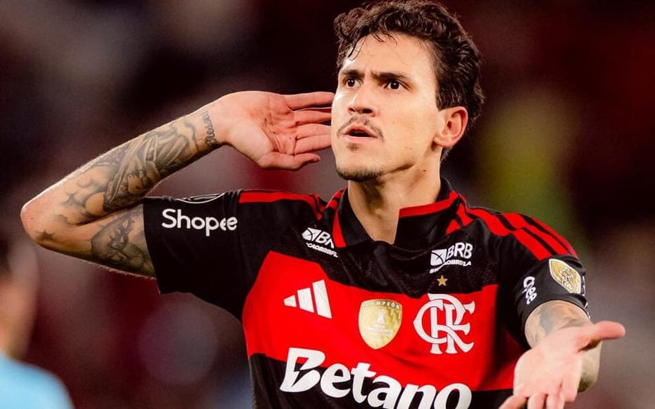 Pedro comemora gol do Flamengo contra o Estudiantes (Foto: Adriano Fontes/Flamengo)