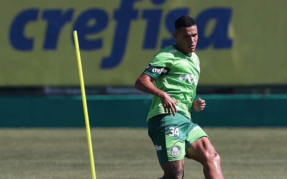 Naves Palmeiras