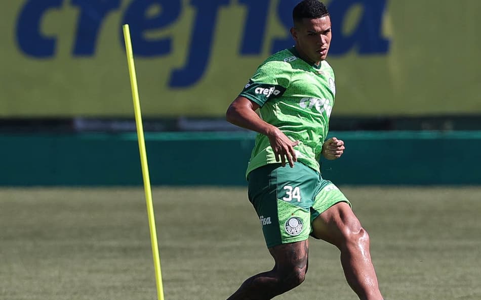Naves Palmeiras